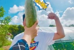 今日吃瓜热门大瓜必看大瓜网红 体育圈饭圈化,今日热门大瓜解析，体育圈饭圈化现象深度剖析